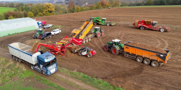 The chips are down: Belgium counts the cost of betting all on the potato