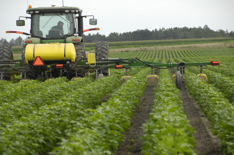Buying crop protection for 2022: expensive and hard to get 48 Homburg develops a sprayer for leftovers potatoes