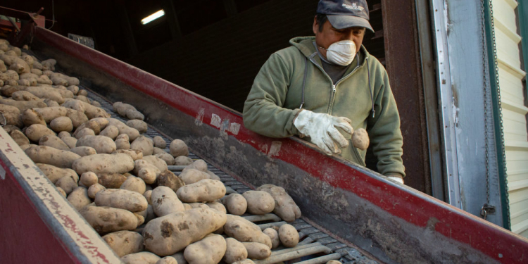 US-Mexico potato