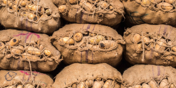 No buyers amid lockdown, potato growers hit hard