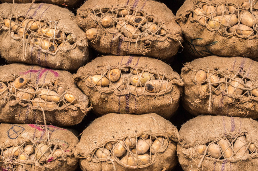 Nessun acquirente durante il blocco, i coltivatori di patate hanno colpito duramente