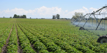 Smart irrigation month coming in July