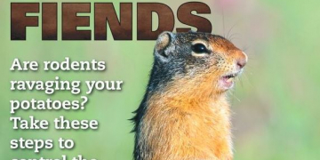 Grower crop & fuzzy fiends