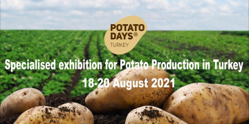 POTATO DAYS TURKEY