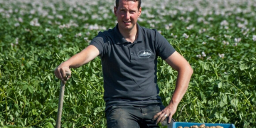 We hope to grub the first Belgian Frieslanders on monday, despite the cold april