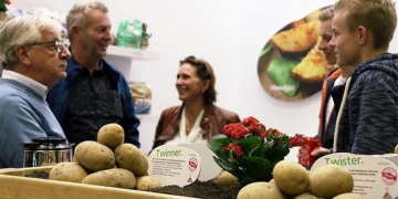 Potato variety presentations in the Netherlands: Agrico highlights natural resistance to Phytophthora