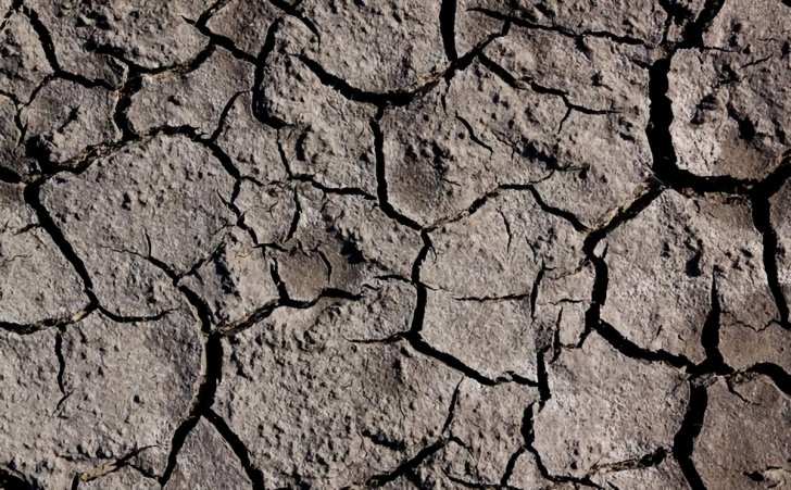 dry cracked soil 1200