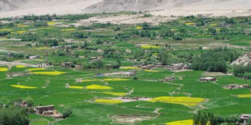 Indian government limits movement of seed potatoes to contain Potato Cyst Nematodes