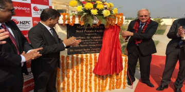 Centre of excellence for seed potatoes planned in Gujarat