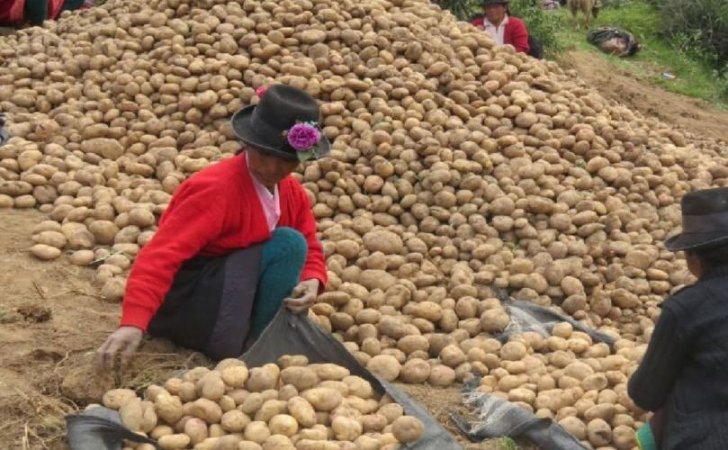 peru potatoes with peruvian dressed woman 809 0