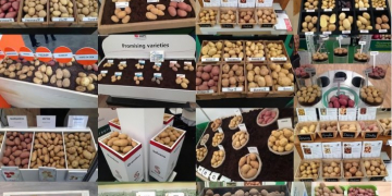 Organic Potatoes Meeting Point’ at PotatoEurope 2018 to showcase practical solutions for organic potato cultivation
