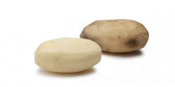 Potato Processing company J.R. Simplot acquires license for CRISPR-CAS9 gene editing technology