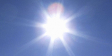 Not enough potatoes in Germany: extreme drought impacts supply Emsland Group