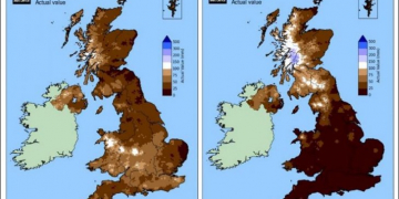 UK Potato plantings down three per cent amid extreme weather conditions