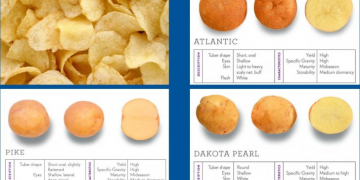 Philippines lowers tax rate on potato import for chip manufacturers