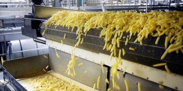 Frozen French Fries plant in Uzbekistan first in Central Asia