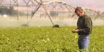 Washington potato growers struggling to keep up with demand