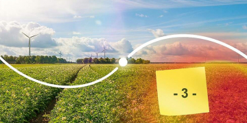 What does a biostimulant do in the plant?