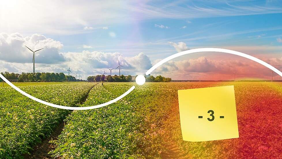 ¿Qué hace un bioestimulante en la planta?