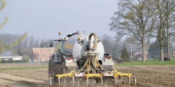 Apply slurry efficiently in seed potatoes