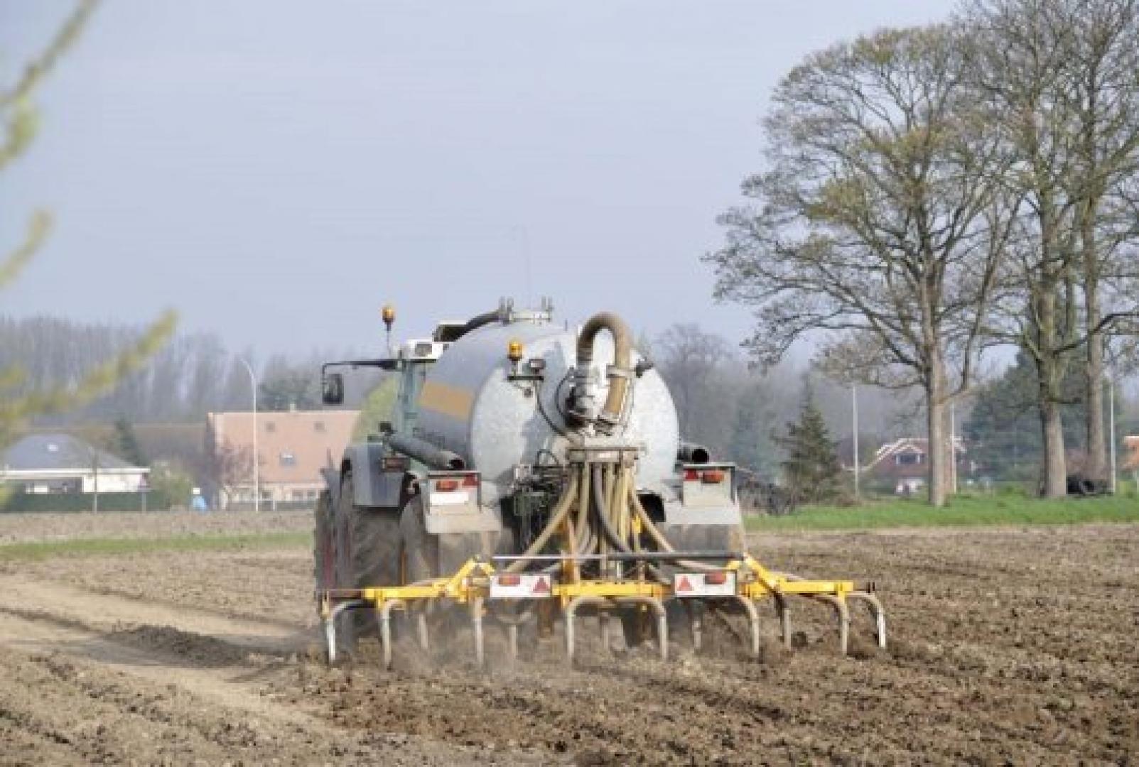 Apply slurry efficiently in seed potatoes