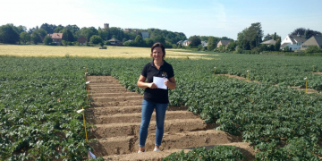 Fontane & Innovator – searching for alternatives