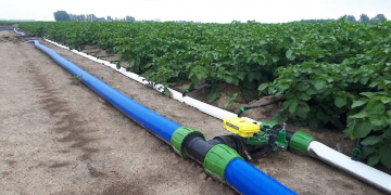 QMS Water program controls irrigation based on various factors
