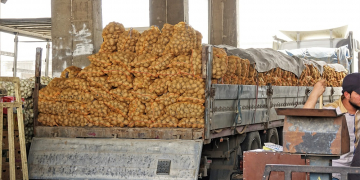 Iraq – new potato factory