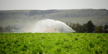 North Italy’s skyrocketing irrigation costs because of drought