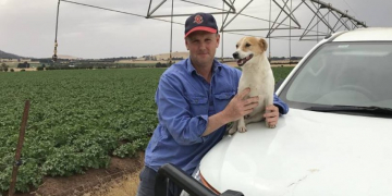 Australian potato farmer’s sustainable farming focus
