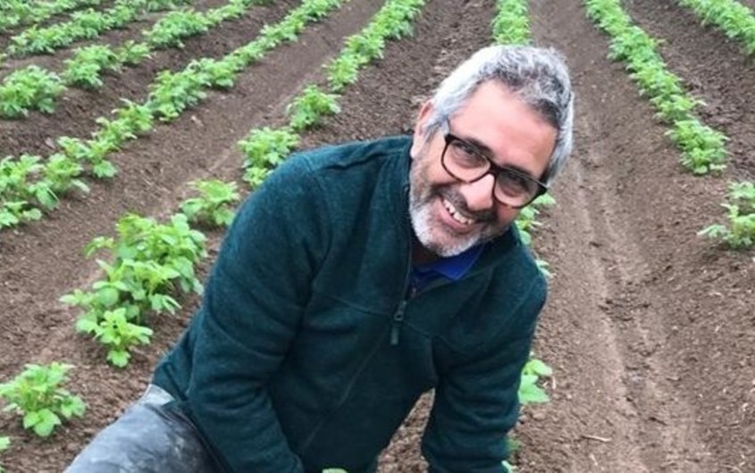 UK: ‘Blight control for today and tomorrow’