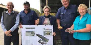 All Australian markets reopened for WA seed and ware potatoes as surveillance shows potato psyllids not infected