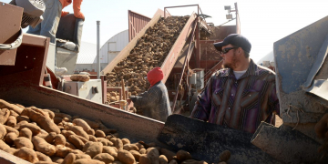 Nearly 300 Agriculture Groups Urge Senate Action on Ag Labor Reform