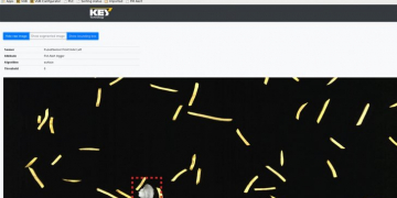 Key Technology Introduces Enhanced FMAlert for VERYX Digital Sorters