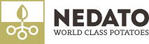nedato logo dark