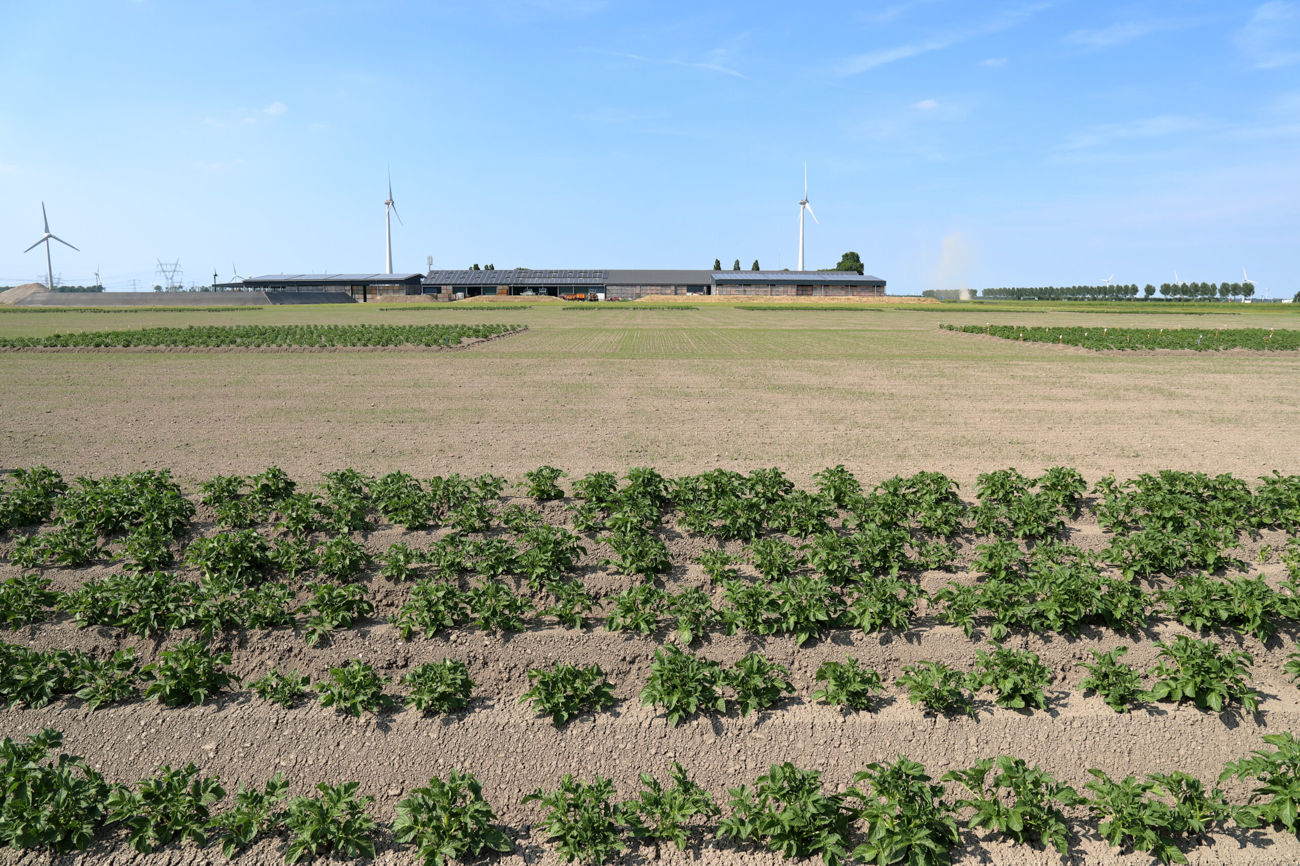 International ticket sales launched for #PotatoEurope 2021