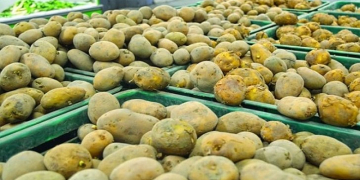 China wants to buy potatoes from Pakistan