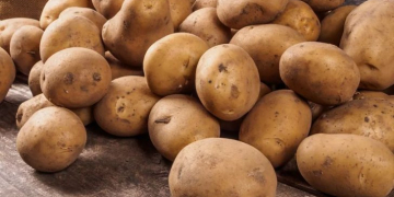 United States Retail Potato Sales mixed