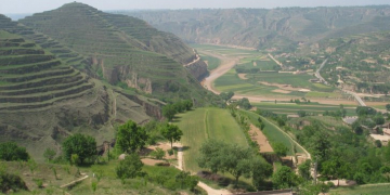 Soil tilling, mulching key to China’s potato crop