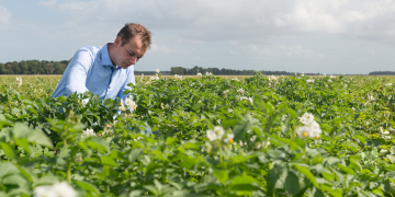 Videos tell story about potato cultivation of the future