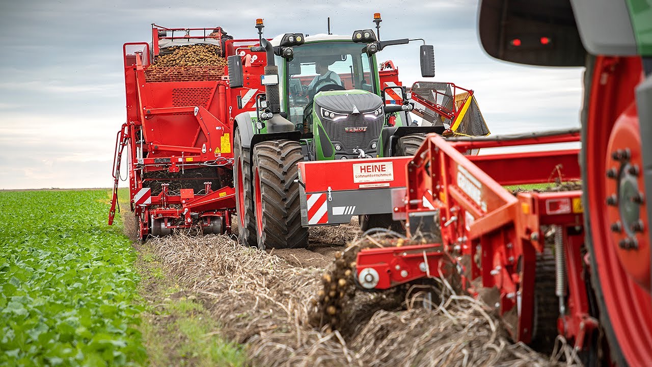 „Der Hektarertrag in diesem Jahr ist entscheidend für die Kartoffelproduktion“