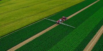 Finnigan’s Farm improves potato harvest with crop detection technology