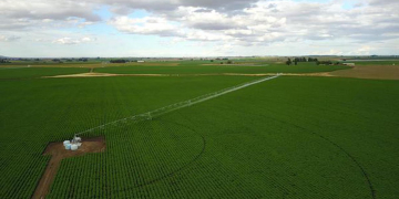 Prices may rise as western farmers contend with drought