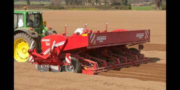 ‘I have never before seen that the planting season lasted so long’