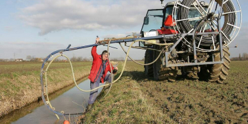 WUR is investigating possible brown rot infection route via potato roots