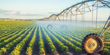 Crop4Sight Launches Potato Irrigation Tool