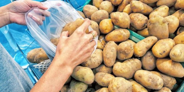 Spanish Potato Prices are Forced Down by Imports and Supermarkets