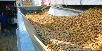 Washington Growers Look to Mexico for Export Recovery