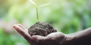 Lower emissions and reduced fuel consumption: new engine concepts for off-highway applications combine performance with climate protection