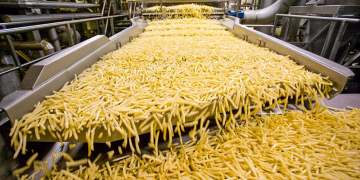 Expanding production capacity with new state-of-the-art french fry plant in Kruiningen – the Netherlands